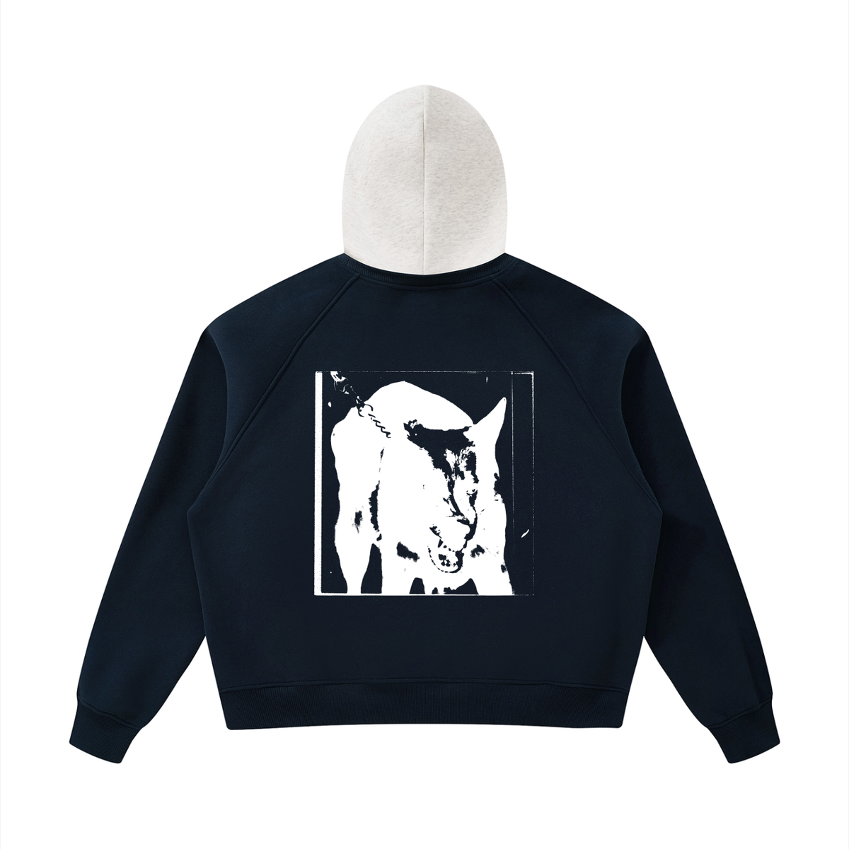 MUZZLE Colorblock Raglan Hoodie