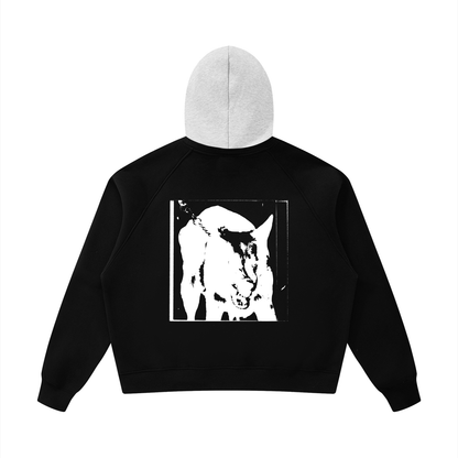 MUZZLE Colorblock Raglan Hoodie